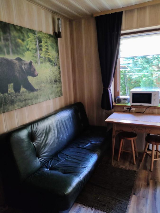 Marynka Apartment Zakopane Ngoại thất bức ảnh